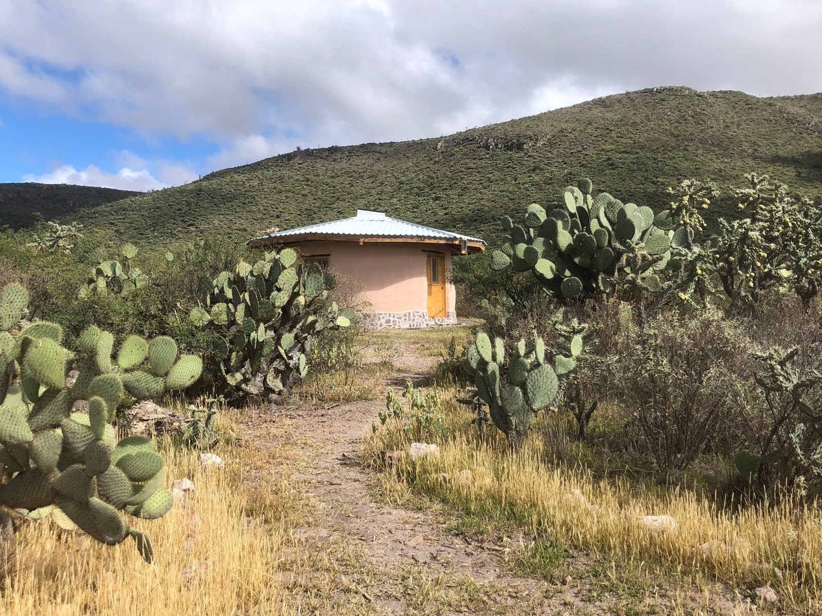 Bioconstrucción